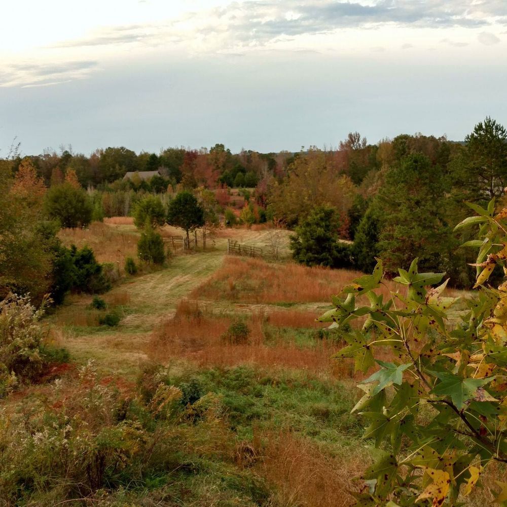 Meet your Posher, Jack